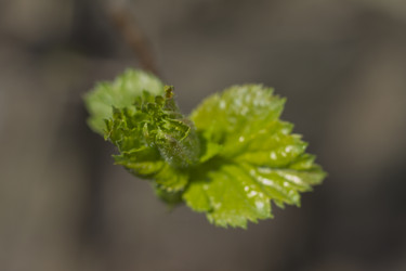 Similar image 2928206