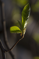 Similar image 2928208