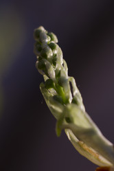 Similar image 2928209