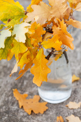 Similar image 2928214