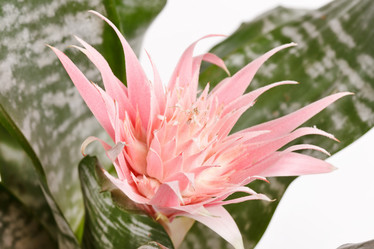 Similar image 2928243