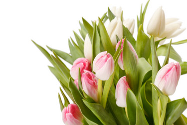 Similar image 2928244