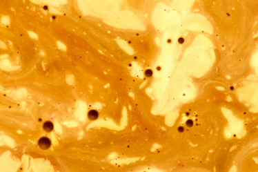 Similar image 2928250