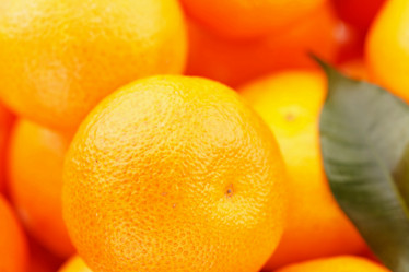 Similar image 2928298