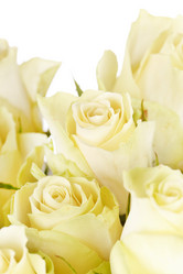 Similar image 2928307