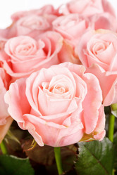 Similar image 2928308