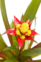 Similar image 2928318