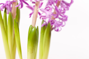 Similar image 2928321