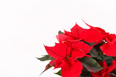 Similar image 2928322