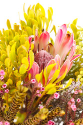 Similar image 2928323