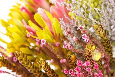 Similar image 2928324