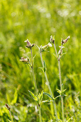 Similar image 2928329