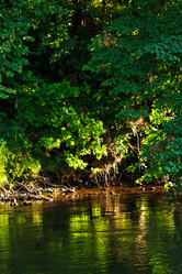 Similar image 2928330