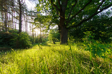 Similar image 2928331