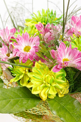 Similar image 2928336