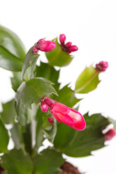 Similar image 2928341