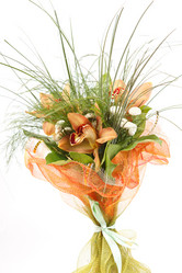 Similar image 2928348