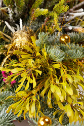 Similar image 2928351