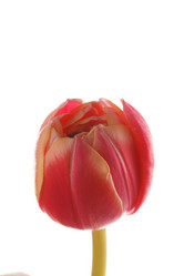 Similar image 2928352