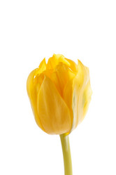 Similar image 2928353