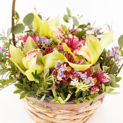 Similar image 2928372