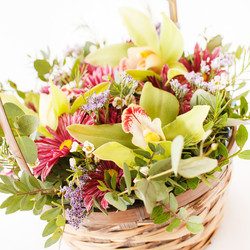 Similar image 2928373