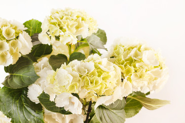 Similar image 2928390