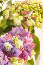 Similar image 2928391