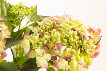 Similar image 2928392