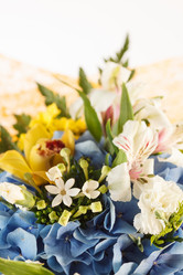 Similar image 2928393