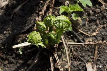 Similar image 2928480