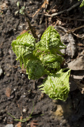 Similar image 2928481