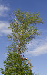 Similar image 2928482