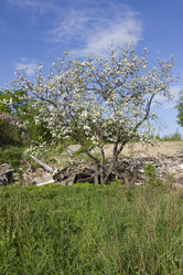 Similar image 2928544