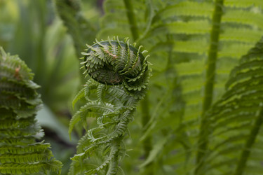 Similar image 2928571