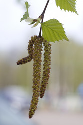 Similar image 2928572