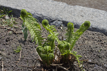 Similar image 2928573