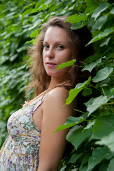 Similar image 2928579