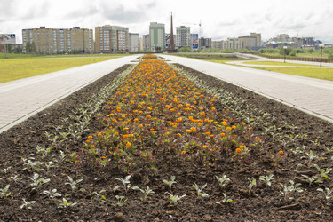 Similar image 2928595