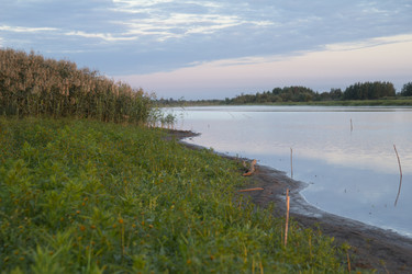 Similar image 2928615