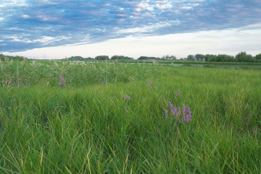 Similar image 2928618