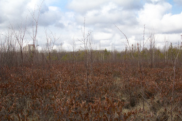 Similar image 2928621