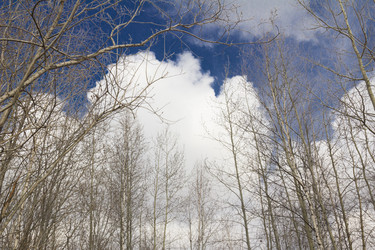 Similar image 2928636