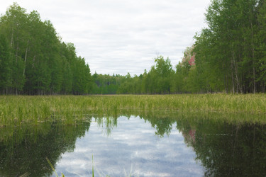 Similar image 2928647