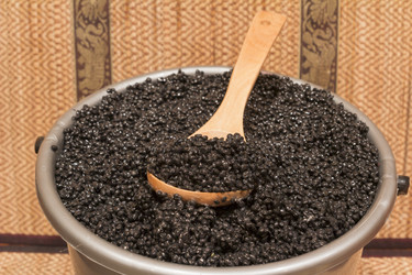 Similar image 2928853