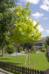 Similar image 2928871