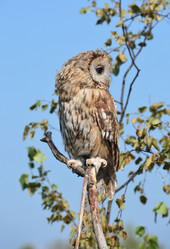 Similar image 2929164