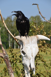 Similar image 2929167