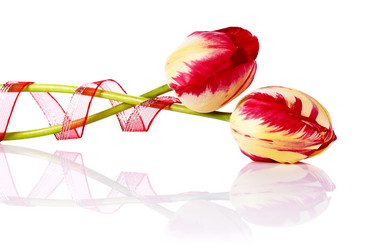 Similar image 2929296