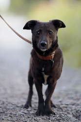 Similar image 2929297